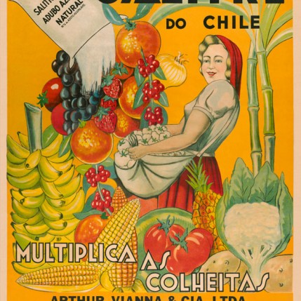 Afiche Brasil