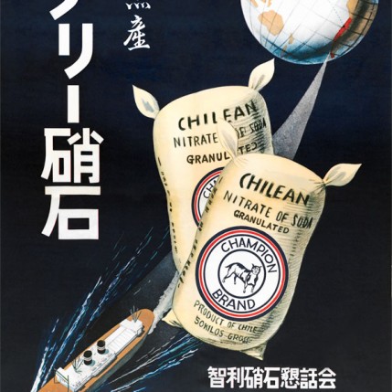 Afiche Japón